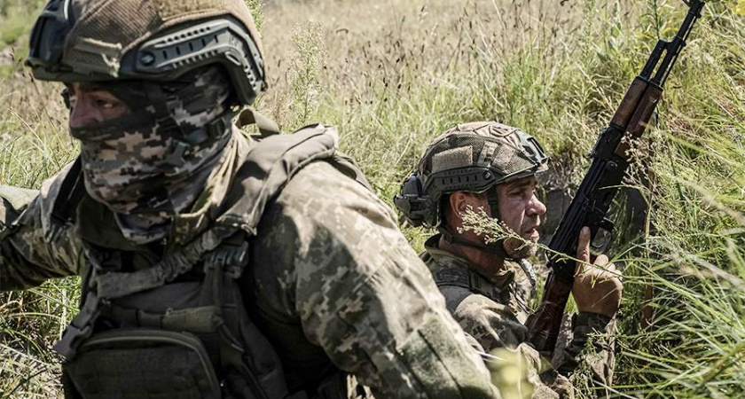 Ким Дотком: Эскалация конфликта достигла критической точки