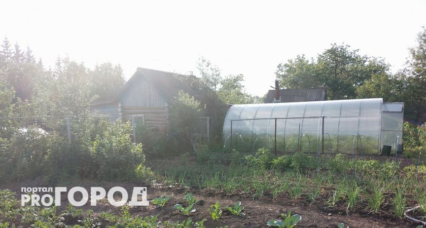 Эффективнее сидератов и навоза: В сентябре добавляю это в почву — и даже самая тяжелая земля становится рыхлой и плодородной