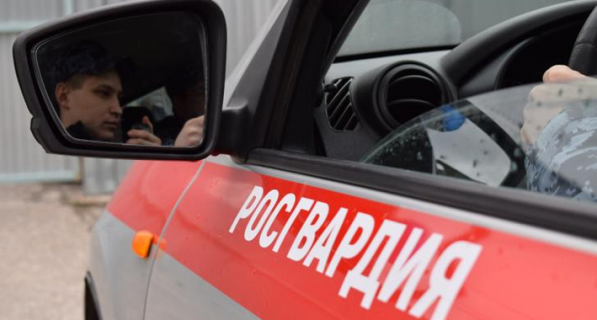 Во Льгове росгвардейцы обезвредили кассетную мину от HIMARS