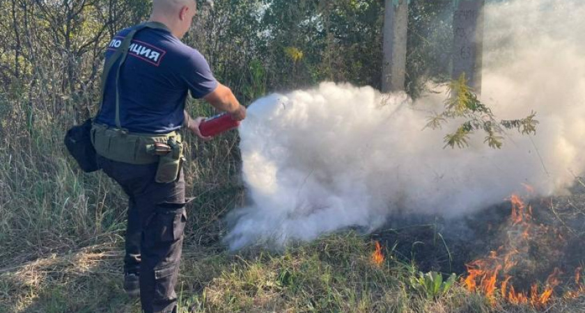 Полицейские в Курчатовском районе помогли потушить пожар в траве