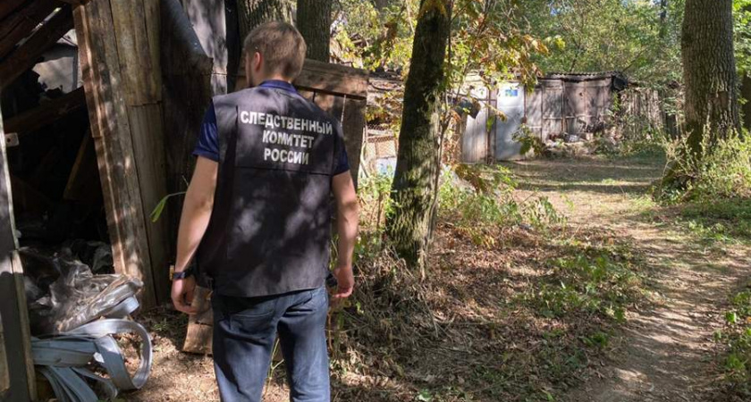 В России пропала 11-летняя девочка во время прогулки с мамой