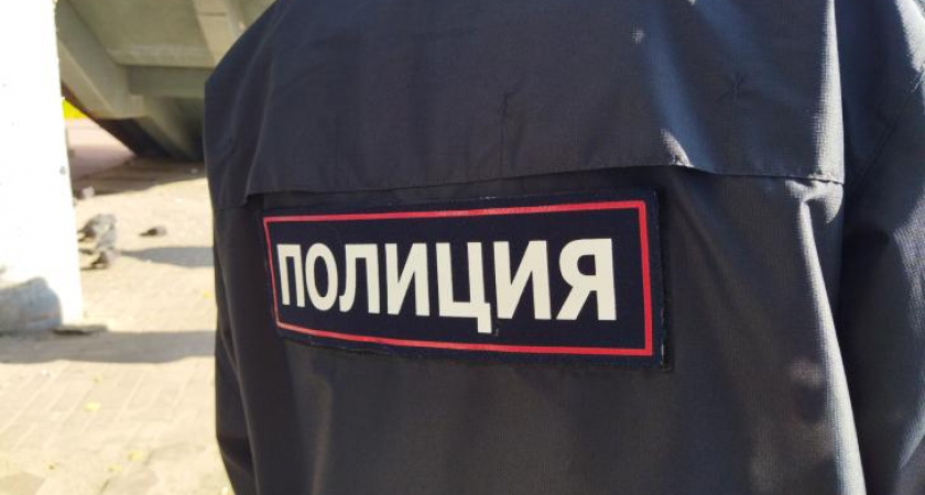 В Курском районе найдена пропавшая 11-летняя девочка