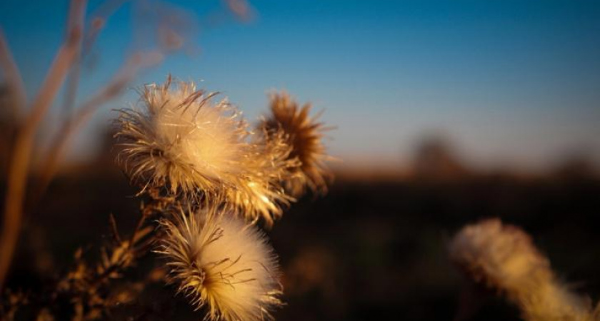 В Курской области 17 сентября ожидается тепло и без осадков