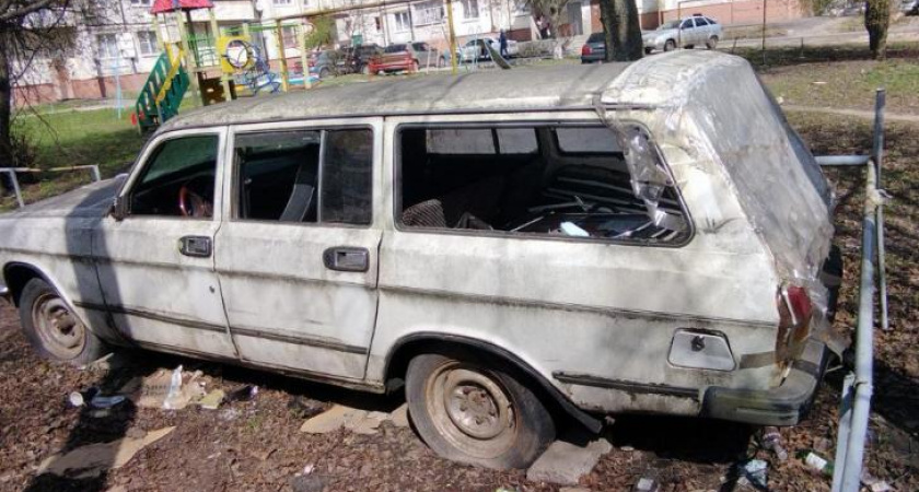 В Курске предупредили об опасности парковки под деревьями из-за шторма