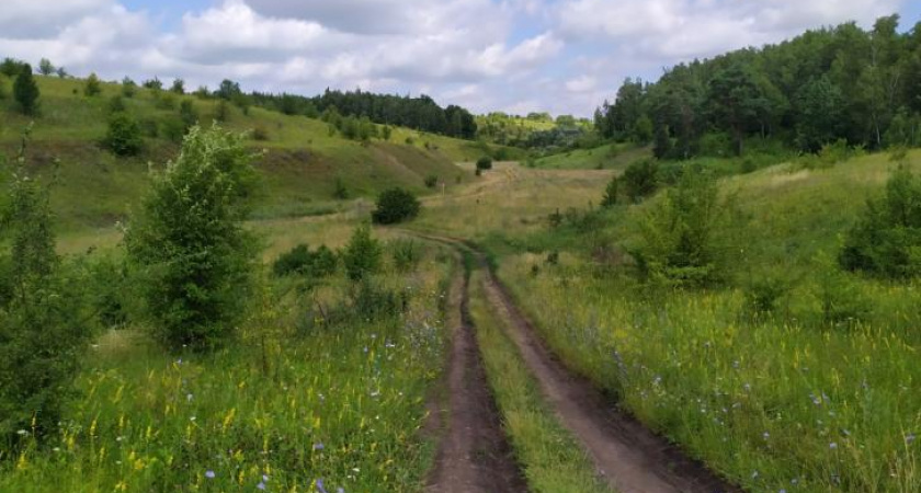 В Курской области появятся восемь новых особо охраняемых природных территорий