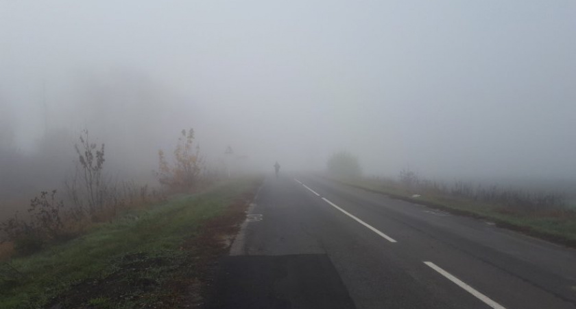 В Курск пришла оттепель с туманами и дождями