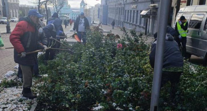 В Курске начали подготовку городских клумб к зиме