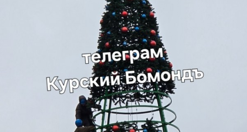 В Курске начали устанавливать новогодние елки