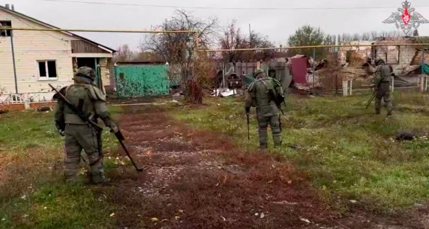 Тысячи украинских боеприпасов обнаружены в Курской области