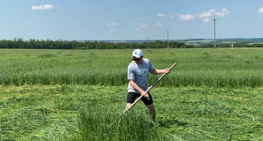 В Курской области расторгли незаконную аренду земли из-за превышения допустимой площади
