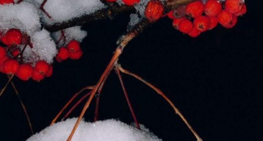 В Курской области ожидаются снегопады и перепады температур