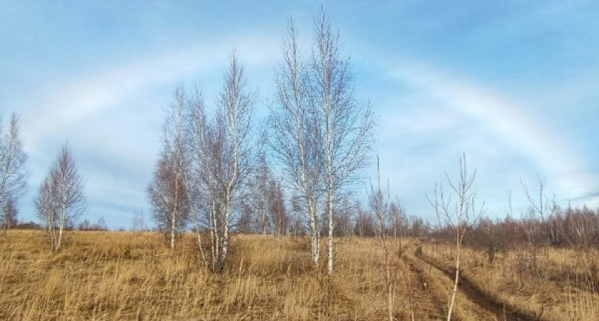 В Курске сфотографировали редкую туманную радугу