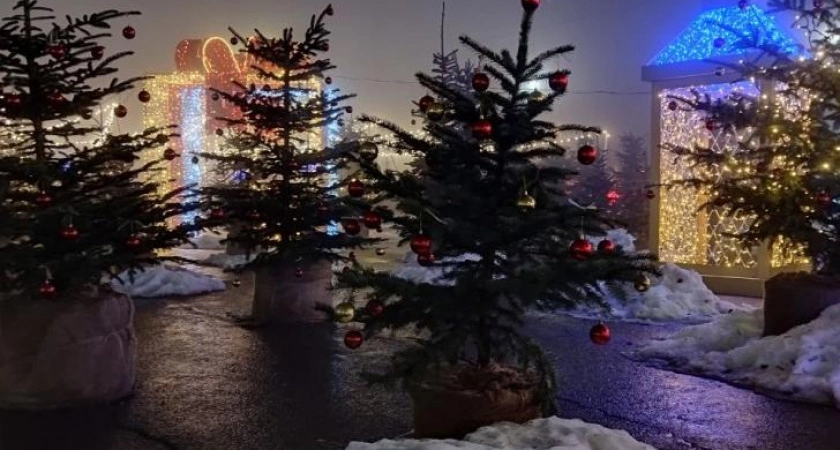 Фото к статье: В Курске пятый год подряд Новый год встречают без снега