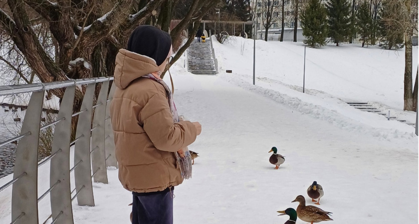 Внезапные каникулы в школах: утверждены новые весенние даты. Родители не в восторге