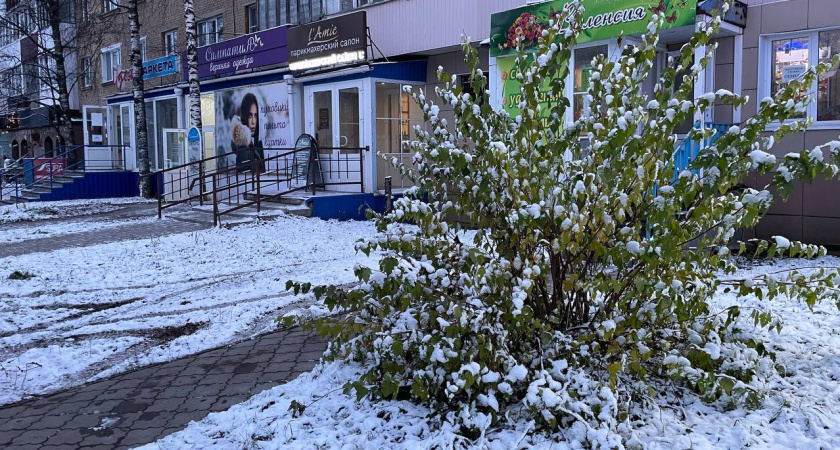 Небывалая весна на нашем веку: синоптики определили даты прихода аномальной жары