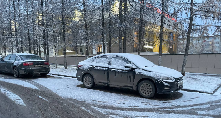 Суровый февраль даст всем прикурить: синоптики подготовили обновленный прогноз на конец зимы