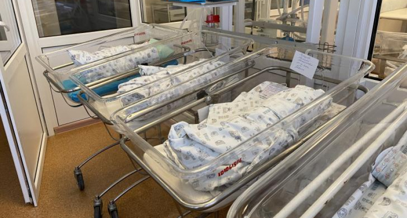 В Курске за январь родилось 353 малыша, включая четыре двойни