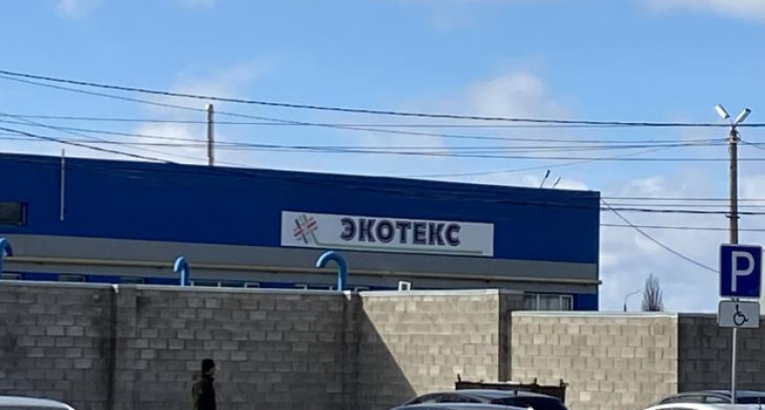 Волонтеры ЭкоКурска собрали 15 тонн вторсырья и высадили 10 тысяч дубов за год