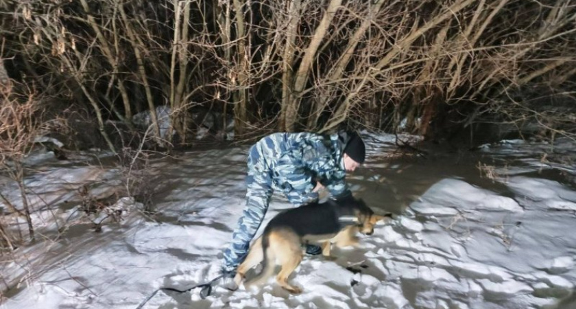 Полицейская собака спасла замерзающего в поле курянина