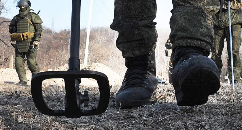 Инженерные войска РФ разминировали 19 тысяч гектаров земли в Курской области