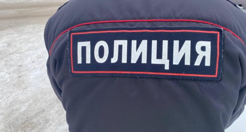 Подросток выбросил собаку из окна заброшенного здания в Железногорске
