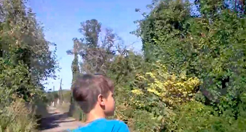 10-летнего мальчика из Курской области предложили наградить медалью за помощь российским войскам