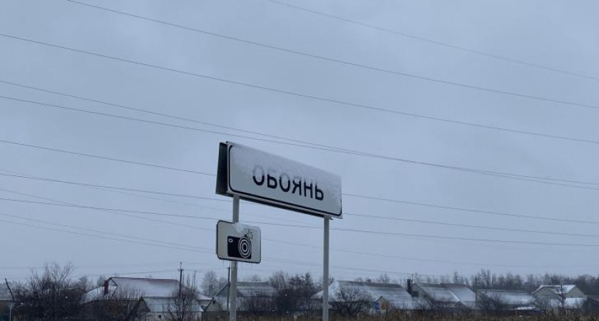 Житель Курской области погиб, подобрав мину-"Колокольчик"