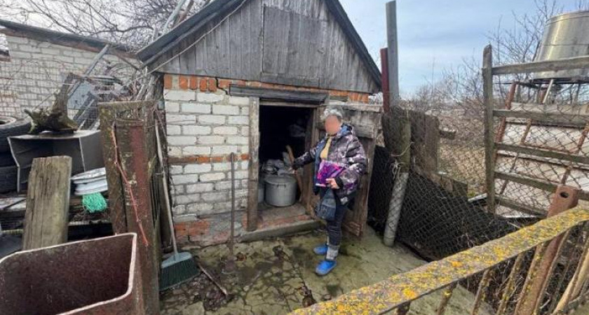 В Курской области задержали женщину за кражу имущества из пустующих домов