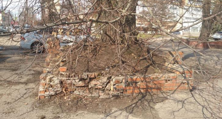 Сквер у гостиницы "Курск" годами остается без ремонта