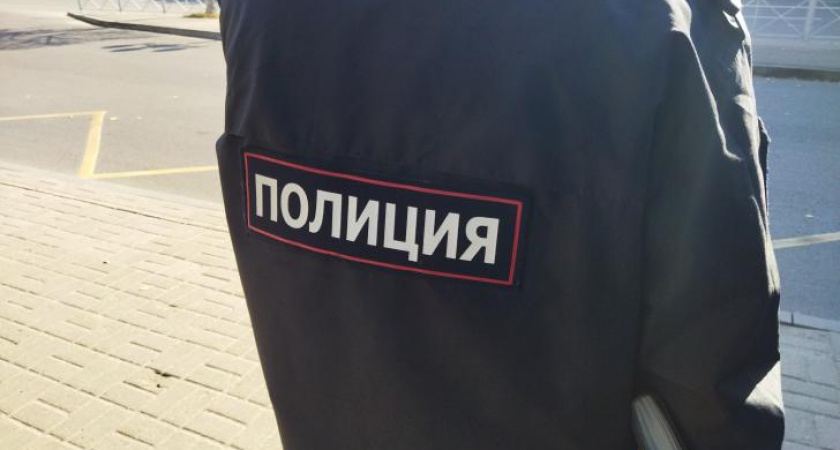 Питбуль напал на пенсионера в Курске из-за нетрезвой хозяйки