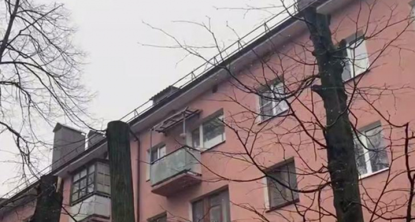 Управляющая компания в Курске незаконно обрезала липы на улице Карла Маркса