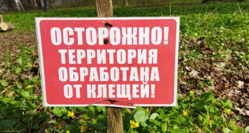 Курские парки обработают от клещей с 23 по 25 апреля