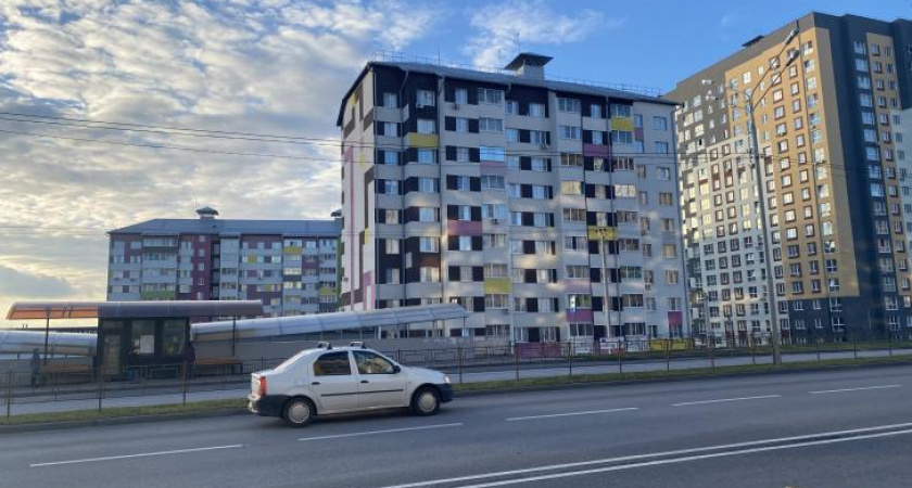 В Курской области ожидаются заморозки и сильный ветер