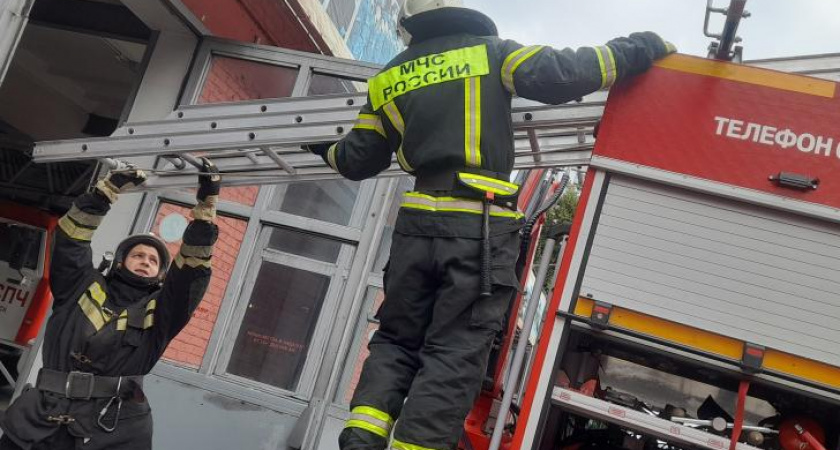 14 пожаров за сутки в Курской области: один человек погиб