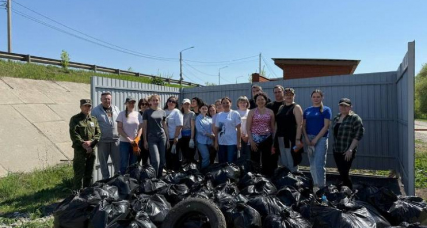 На пляже Олимпийский в Курске волонтеры собрали 8 кубометров мусора