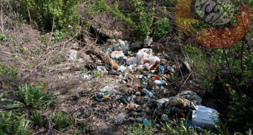 В лесу у реки Сейм обнаружены незаконные свалки