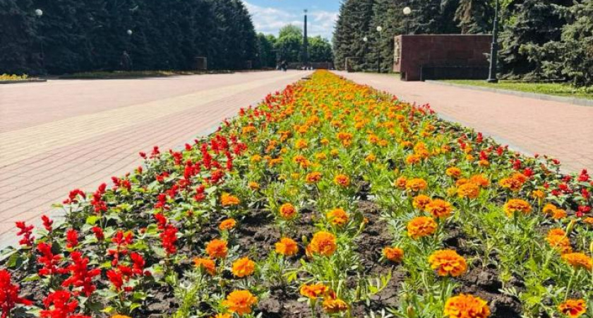 В Курске украшают клумбы к празднику