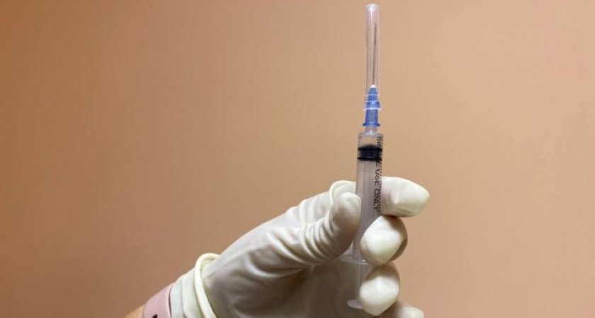 В Курской области сотни людей не получили вакцину от бешенства из-за её отсутствия