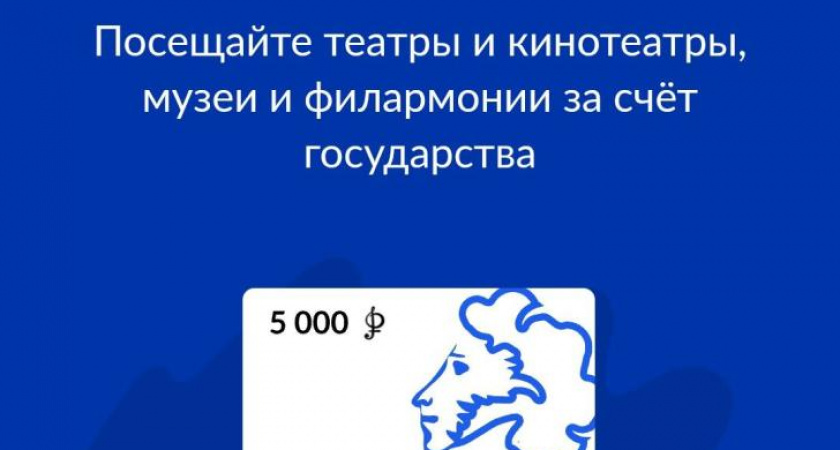 Куряне потратили 2 миллиона рублей на Пушкинскую карту за 4 месяца