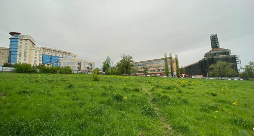 В Курске изымут заброшенные земельные участки для общественных нужд