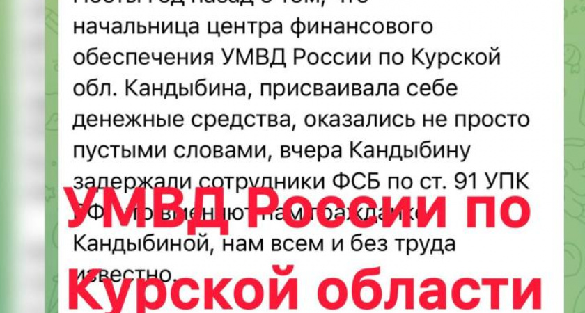 Курская полиция опровергла информацию о задержании руководителя отдела