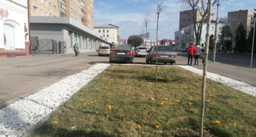 В Курске с начала года более 250 водителей оштрафовали за неправильную парковку