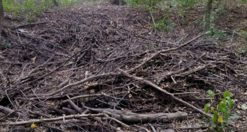 В Курске ликвидировали свалку на улице Заводской после жалобы жителя
