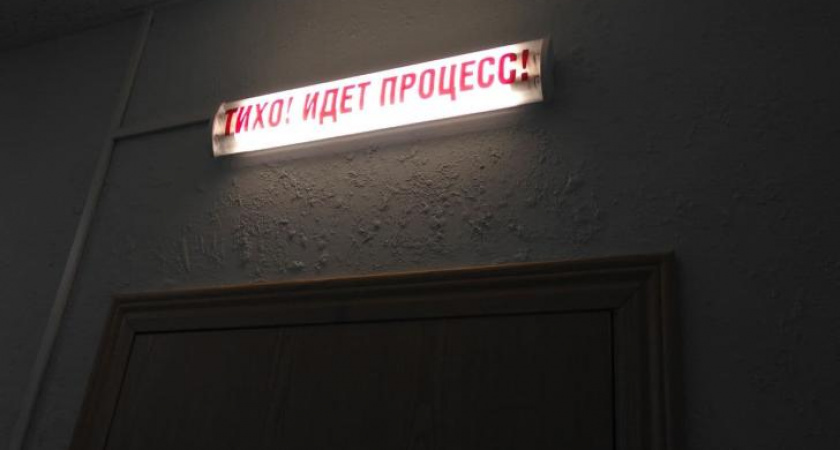 Многодетную мать отправили в колонию за неуплату алиментов
