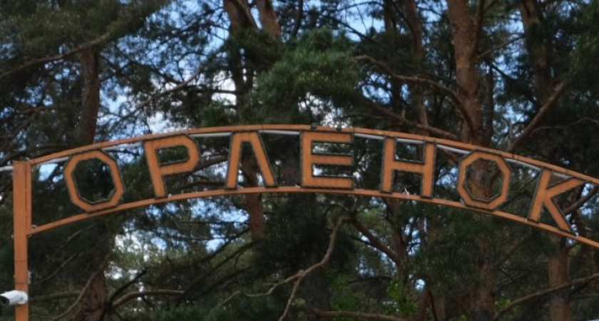 50 детей из приграничных районов Курской области отправились на отдых в "Орленок"