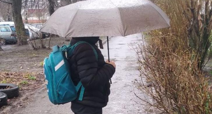 В Курской области 13 июня ожидаются дожди и прохладная погода