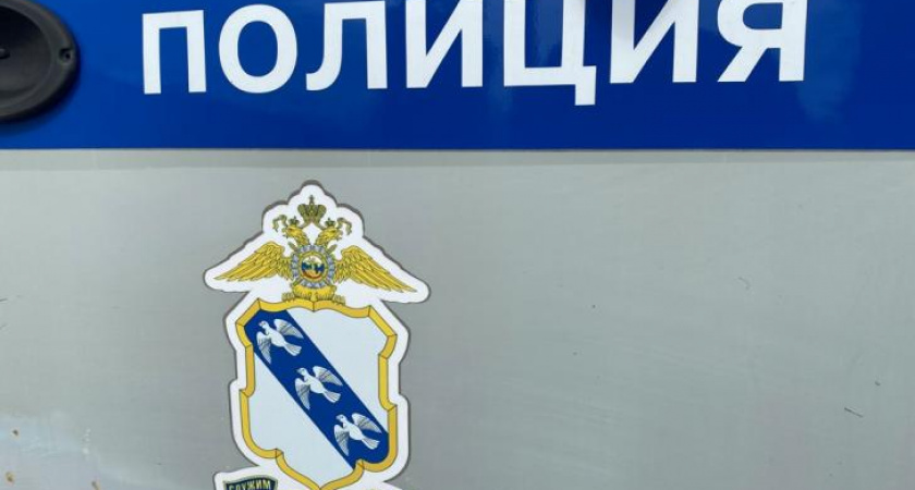 Мать оштрафовали на 70 тысяч рублей за избиение полицейских