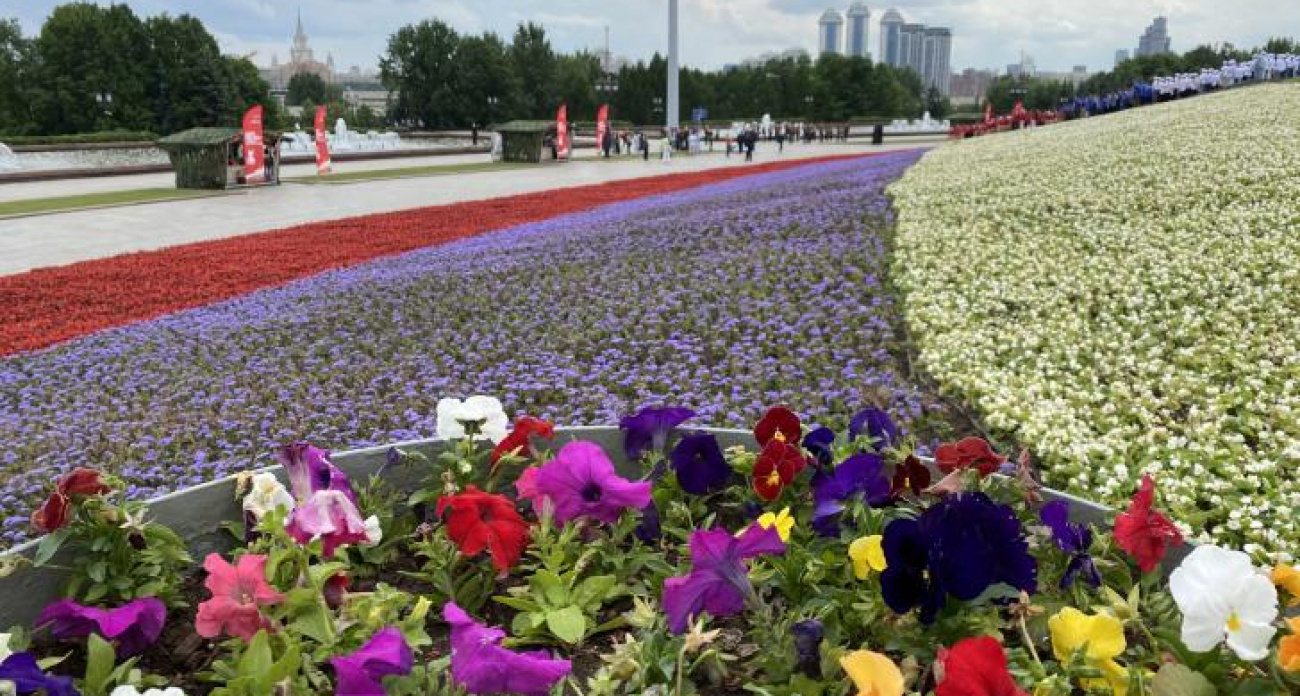 В Курске выбирают лучшую школьную территорию
