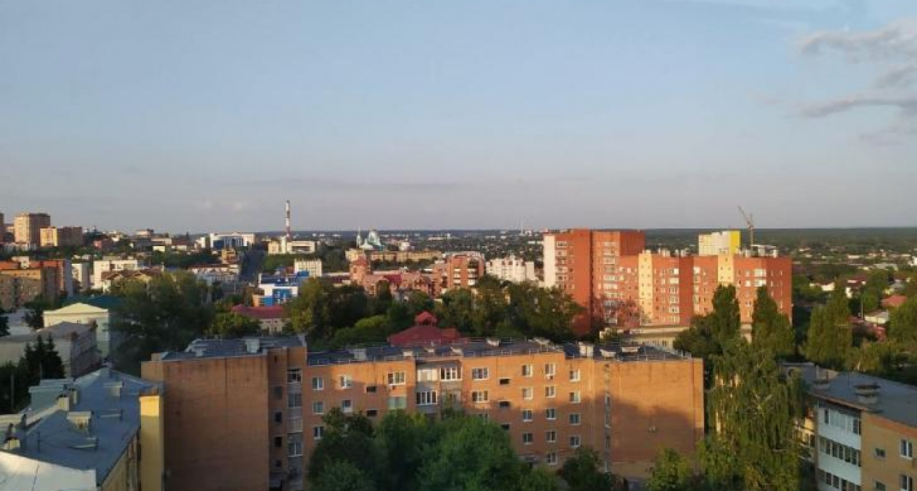 Косуля бегала по улицам Курска