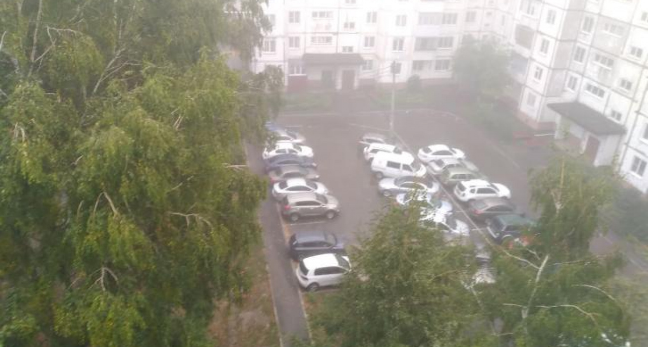 Трехлетняя война за парковку в Курске закончилась избиением и приговором в 10 месяцев